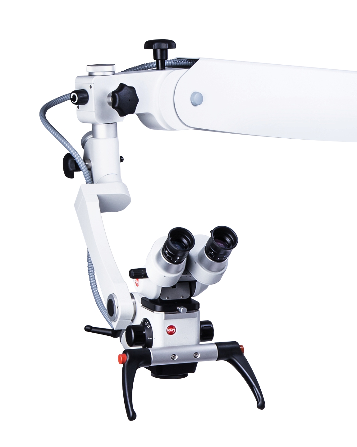 endodoncja stargard